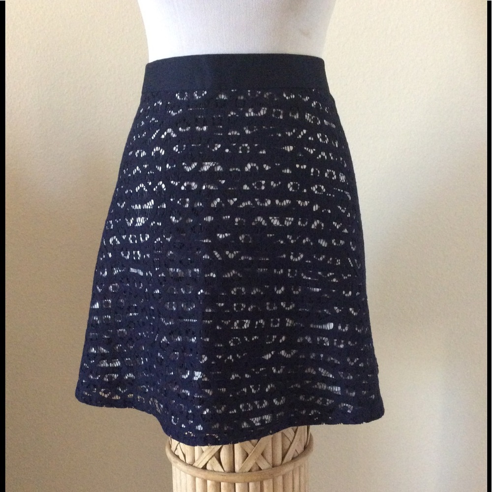 The Limited Skirt